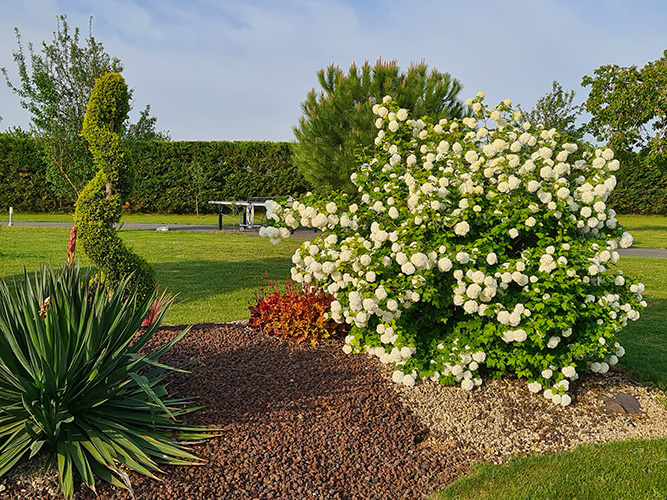 Jardin La gloriette
